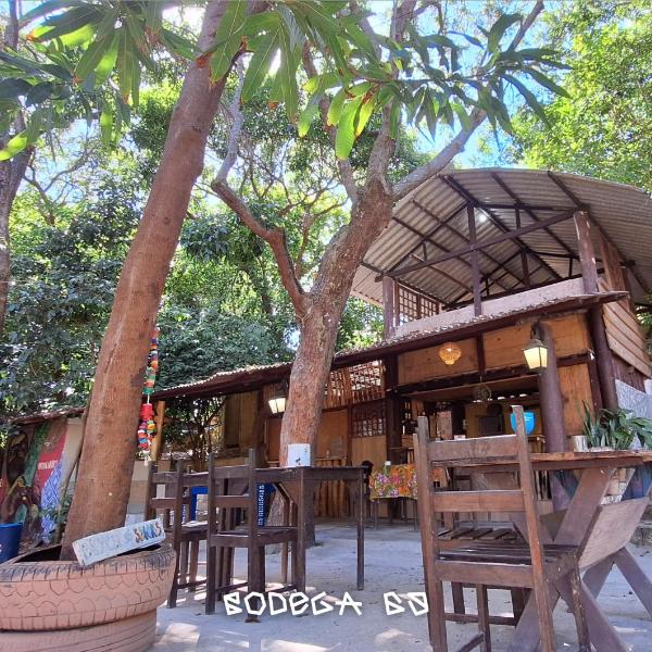 EcoCamping da Wandinha - Foto 2