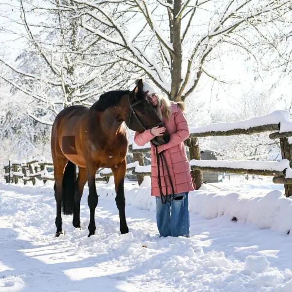 Apartment Country House Zaton, hotel u gradu 'Tišina'