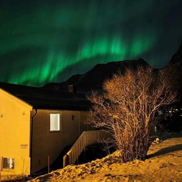 Mefjordvær에 위치한 호텔 Cozy Apartment between sea and mountains