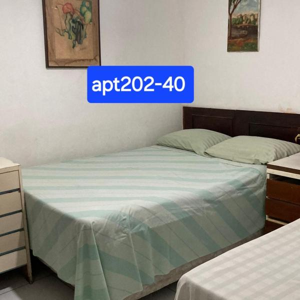 Apt202-40 - Foto 2