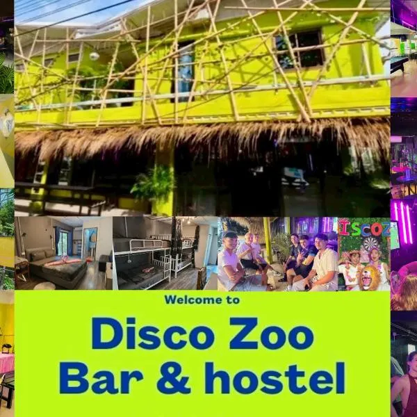 DISCO ZOO Bar & Hostel，哈林海灘的飯店