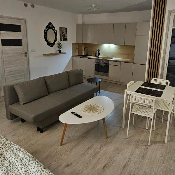 치우후프에 위치한 호텔 Apartament Studio Centrum