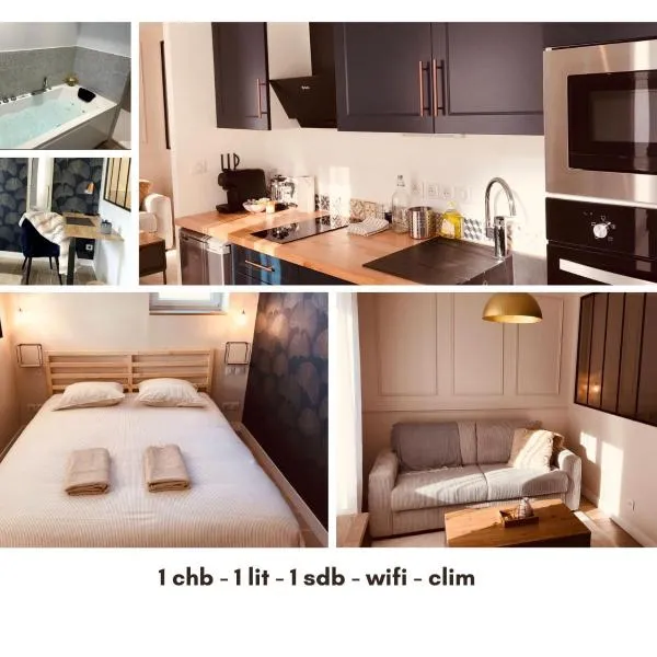 Charmant Studio Balneo wifi clim borne electrique, hotel sa Vierzon