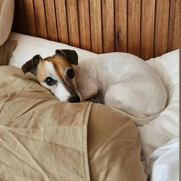 Hotel Termal Dolores, Hotel in Dolores