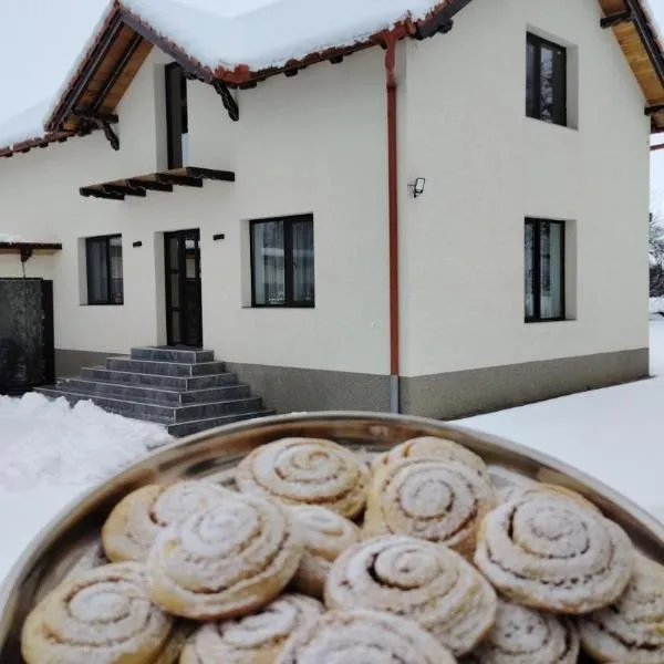 Casa Aida, hotell sihtkohas Peşteana