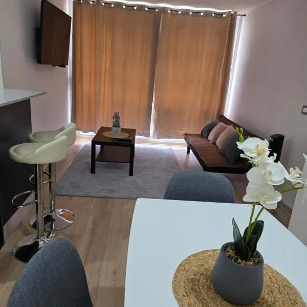 Departamento cómodo y equipado en Viña del Mar – hotel w mieście Viña del Mar