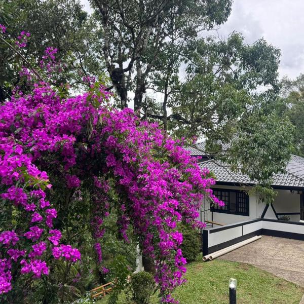 Casa da Montanha Ribs