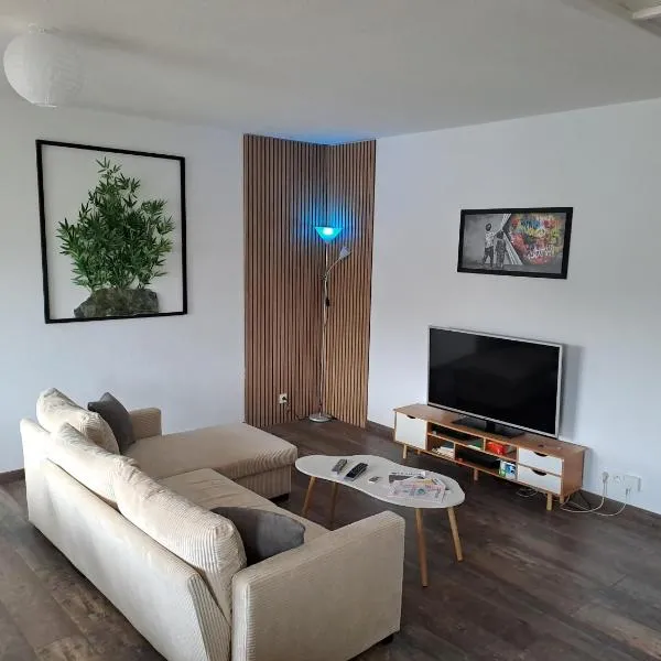 Appartement Proche Gare et Circuit 24h, hotel u gradu Le Man