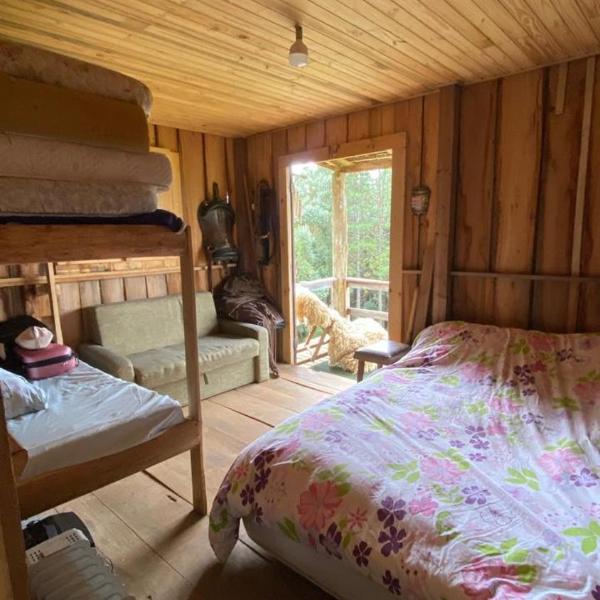 Rancho leão baio - Foto 2