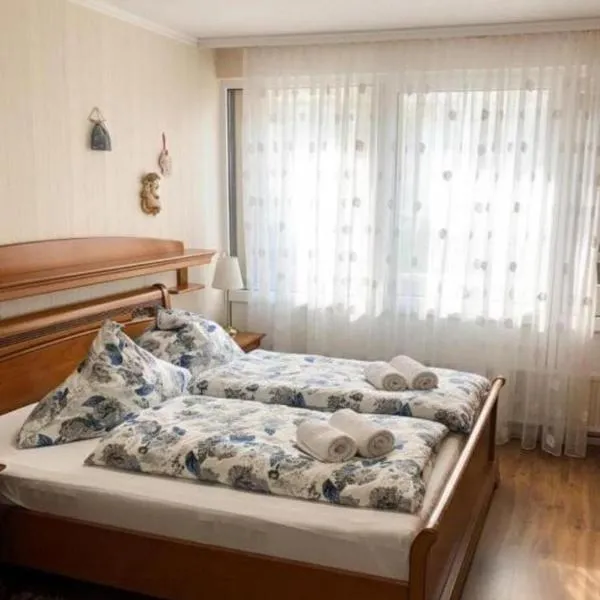 Schönes Apartment mit Pool&Sauna, Hotel in Bingen am Rhein