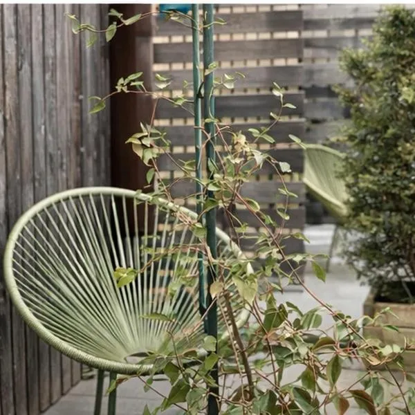 S'Matt Bob: Feldkirch şehrinde bir otel