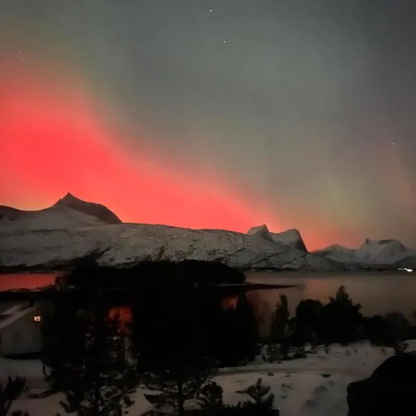 Efjord and Stetind Resort - Cabin Ocean, hotel di Ballangen