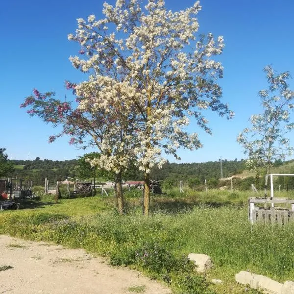 Moixons, מלון בCalonge de Segarra