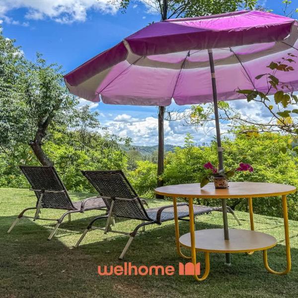 Casa em Secretário com Vista para a Montanha - Foto 5