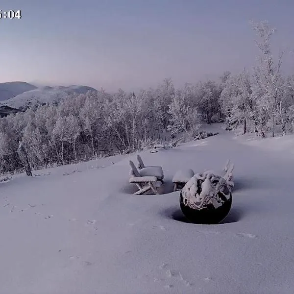 Koselig hytte med uthus på vakre Dovrefjell, khách sạn ở Dovre