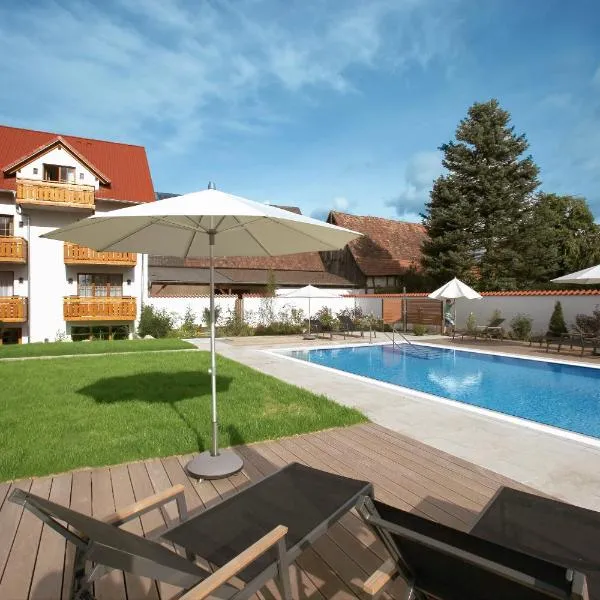 Hotel Krone, hotel v destinácii Hayna