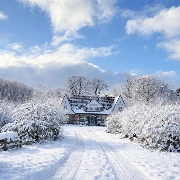 Die Grenzburg, hôtel à Güstrow