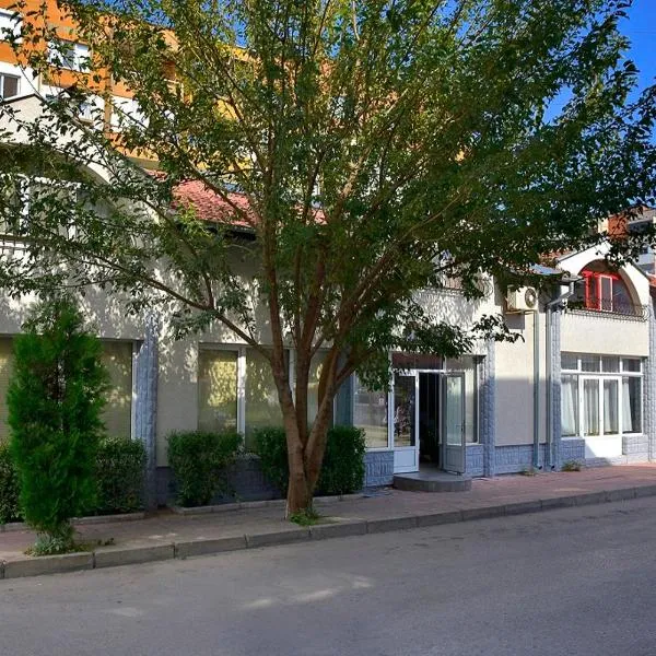 Vival Hotel, hotel Vidinben