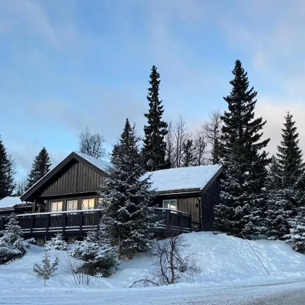 Cosy ski-in ski-out mountain cabin with sauna, hotel em Trysil