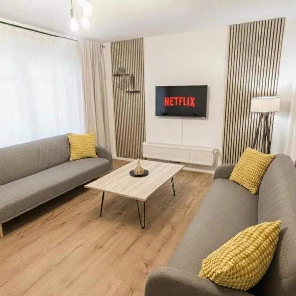 MUEL Apartment EG am Dreiländereck DE,CH,FR, Hotel in Bad Säckingen