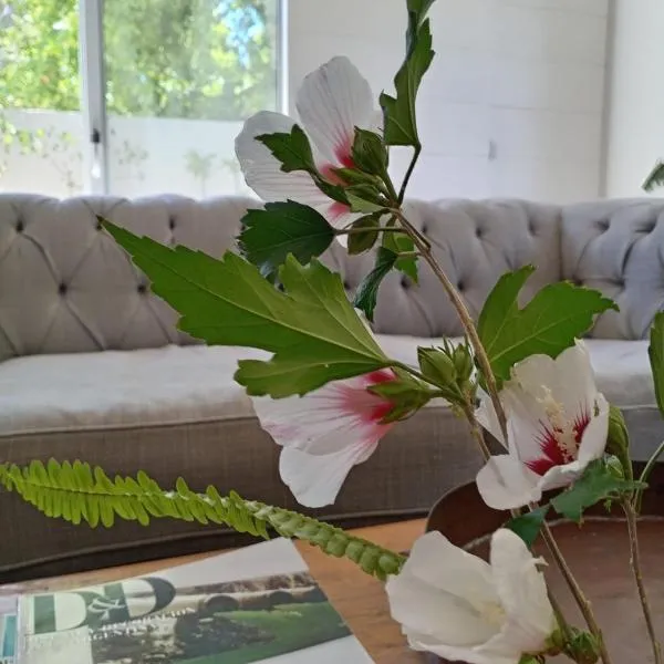 Casa Centrica en Colonia - Vistas Abiertas y Patio Natural, hotel a Colonia del Sacramento