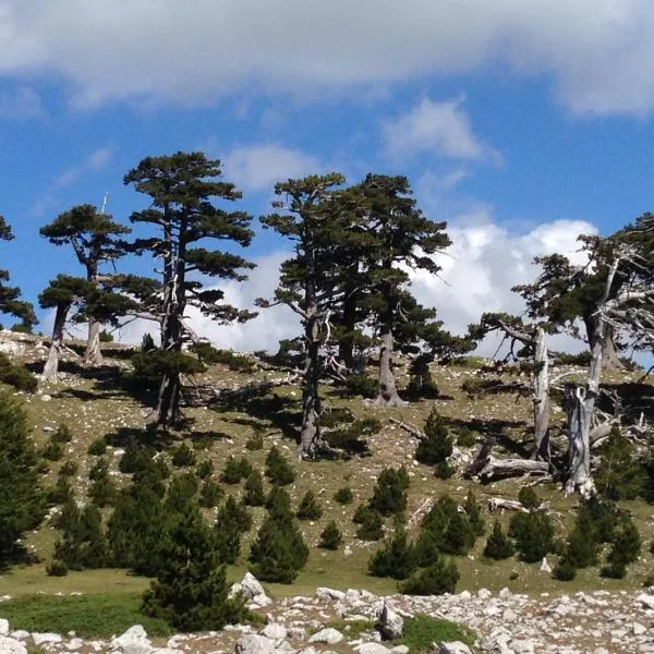 Casa Vacanze Cuore del Pollino, hotel u gradu Viđanelo