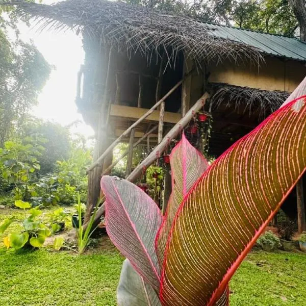 Sigiri Veenus Tree House, Hotel in Sigiriya