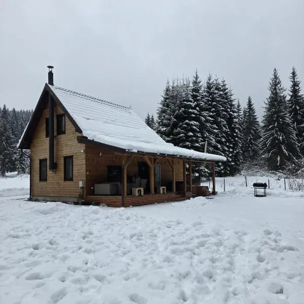 Czirják Kulcsosház, viešbutis mieste Bucsin