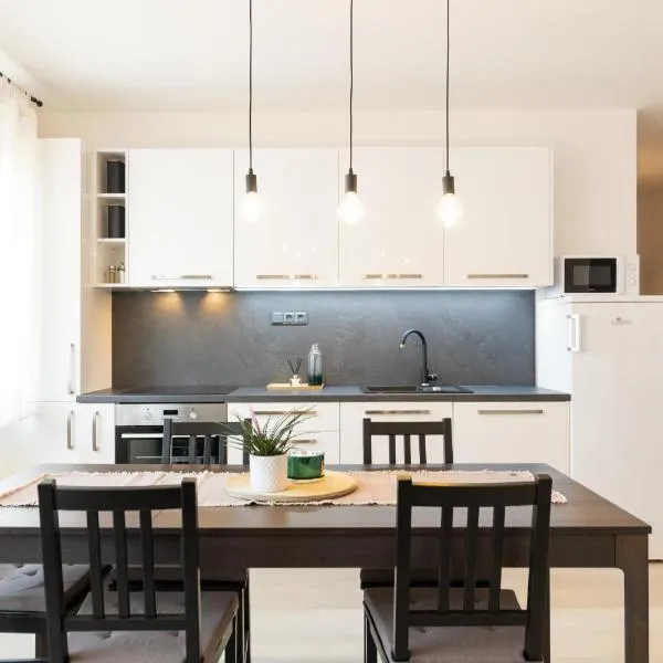 Beautiful apartment in city, hotel in Medlánky