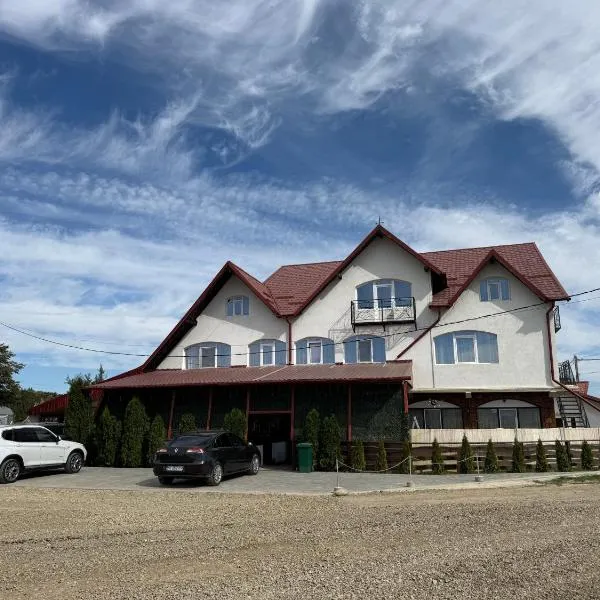 Pensiunea Dumbrăvița, готель у місті Dumbrava