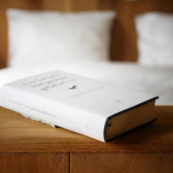 Poëziehotel Surplace - 15 min van Pairi Daiza & industriezone Ghislenghien, hotel in Bever