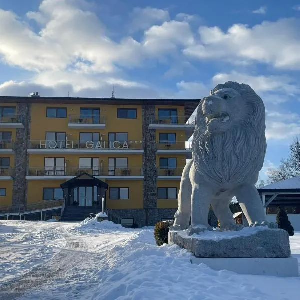 Hotel Galica, hotel din Vrbov