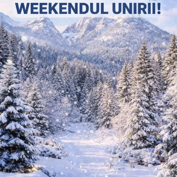 Villa Ermitage, ξενοδοχείο σε Buşteni