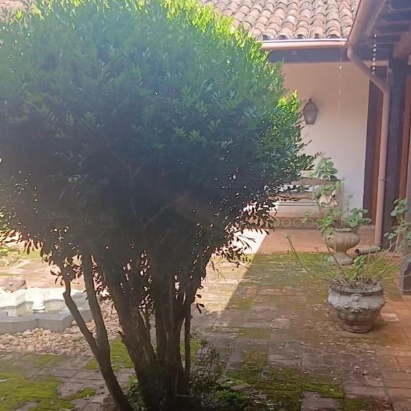 Recantos das Avencas - Foto 5