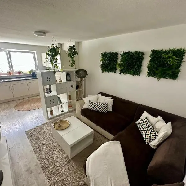 Ruhige Ferienwohnung، فندق في أبينفير