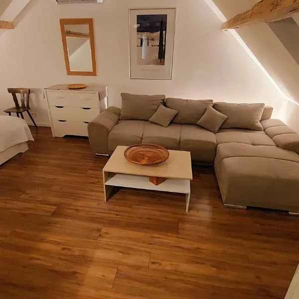 Large Private Room Near Colmar Center with Free Public Parking, hotel in Colmar