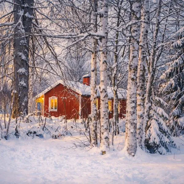 Ferienhaus im schönem historischem Ångermanland，Sundmo的飯店