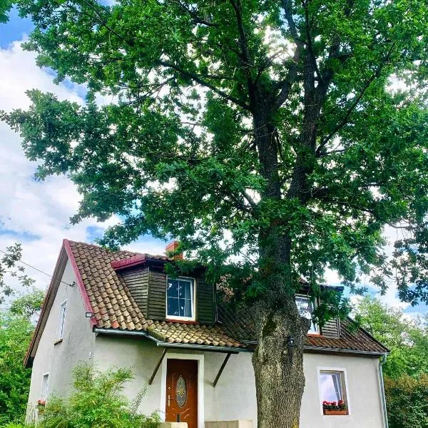 Willa Pod Dębem, hotel i Koczarki