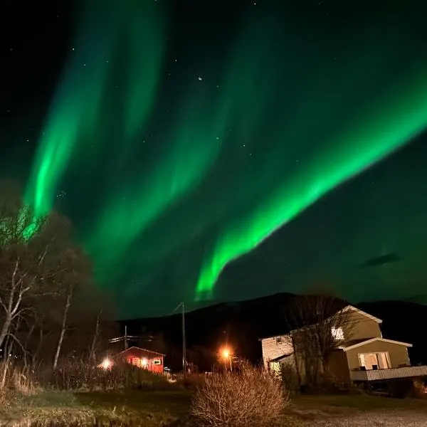 Large apartment with great views, Hotel in Senja