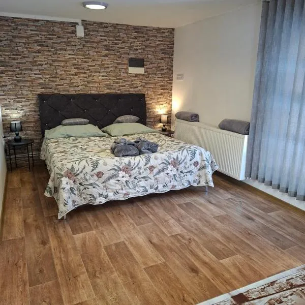 No1 Vendégház: Parád şehrinde bir otel