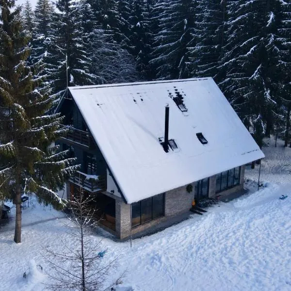 Cabana Bradul Adelinei, hotel u gradu 'Bucsin'