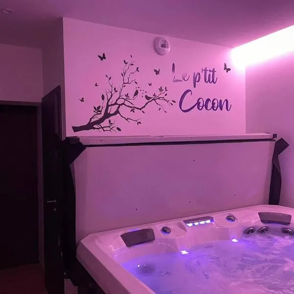 Studio 3 étoiles avec grand JACUZZI PRIVÉ – hotel w mieście Horbourg