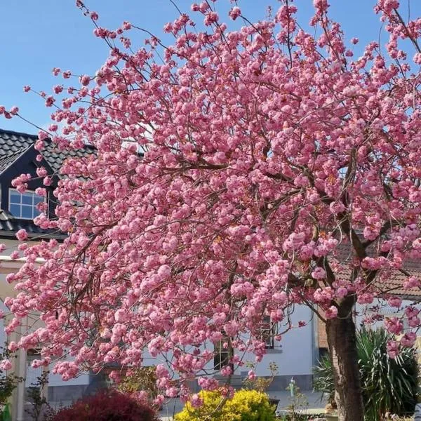 Le Monciat, hotell sihtkohas Lessines