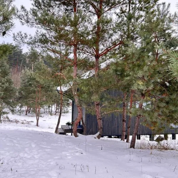 Будиночки для відпочинку ТРОХИ ДАЛІ: Dmitrenki şehrinde bir otel