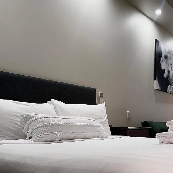 Prince of Wales Hotel, hotel in Wagga Wagga