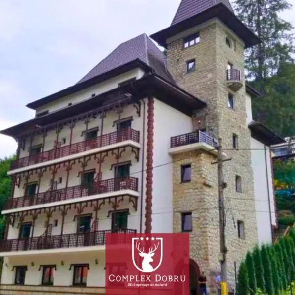 VILA DOBRU, hotel in Slănic-Moldova