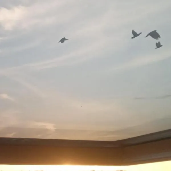 Apartman Skyview, khách sạn ở Požarevac