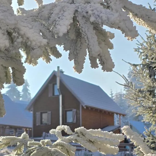 Klimatyczne drewniane Domki Jagodna Spalona 6D-2 jacuzzi sauna, khách sạn ở Spalona