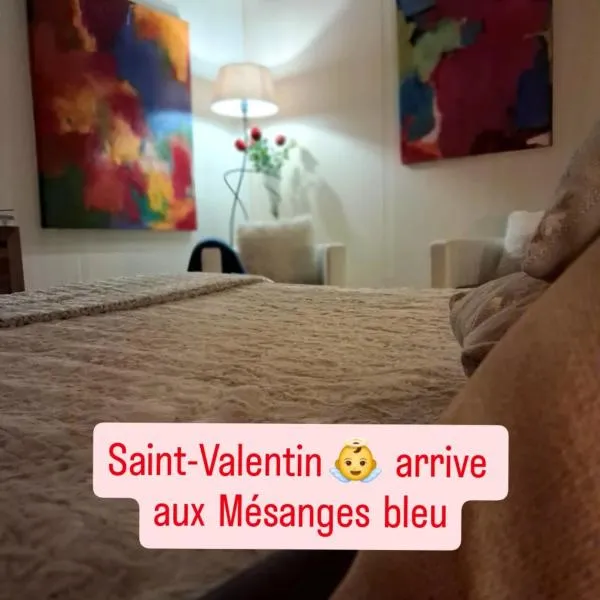 Les mésanges bleu โรงแรมในมัลเมอดี