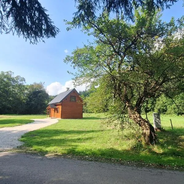Domek na Świerzowskiej Polanie, hotel sa Świątkowa Wielka
